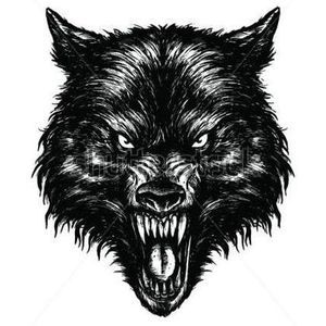 Meet your Posher, Wolframite